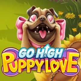 Go High Puppy Love slot logo by RubyPlay at Betalice Casino